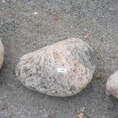 F 098