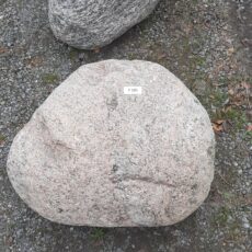 F 101