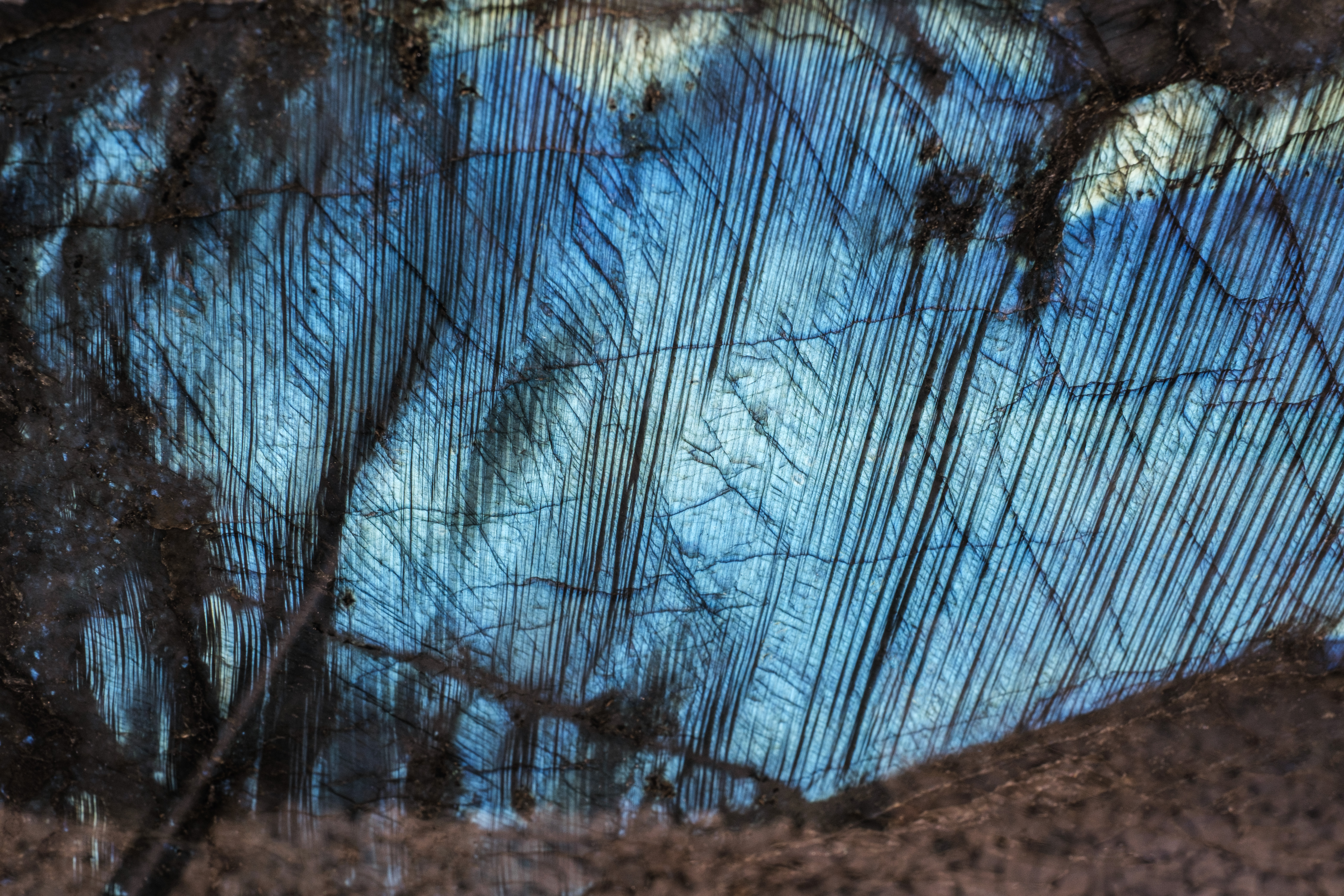 Dassel-details-2025 02